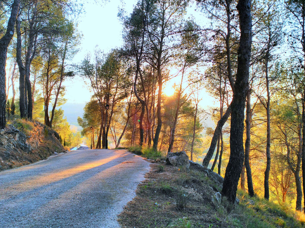 Turismo Teresa de Cofrentes