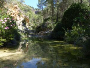 Turismo Teresa de Cofrentes