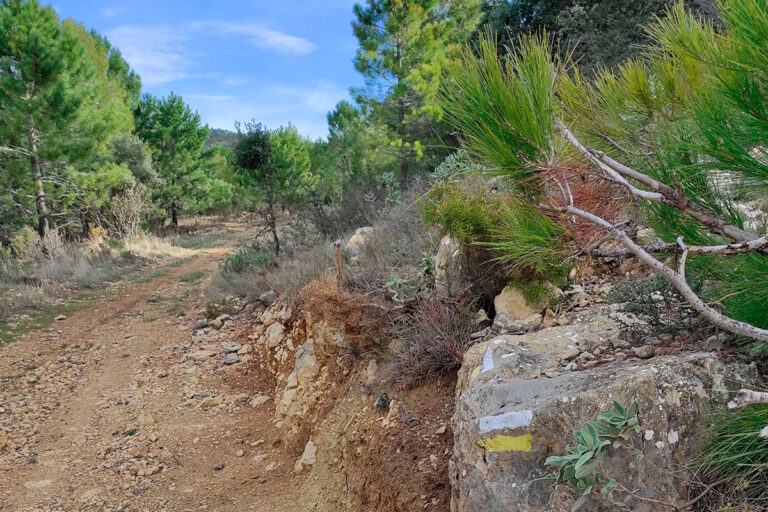Turismo Teresa de Cofrentes