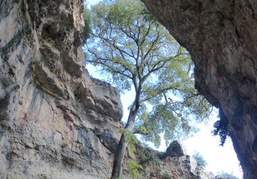 Turismo Teresa de Cofrentes